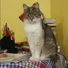 Отзыв от Вера Белкина